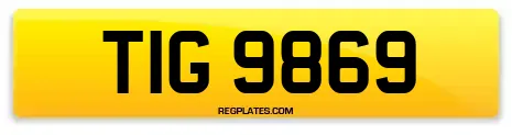 TIG 9869