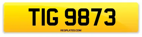 TIG 9873