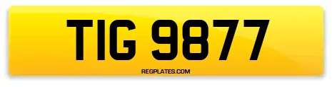 TIG 9877