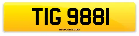 TIG 9881
