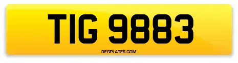 TIG 9883
