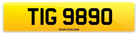 TIG 9890