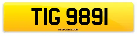 TIG 9891