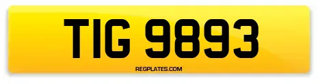 TIG 9893
