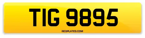 TIG 9895