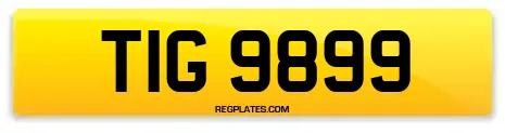 TIG 9899