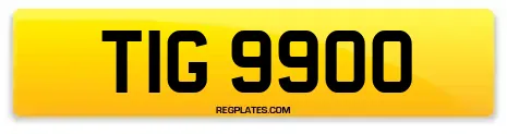TIG 9900