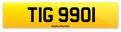 TIG 9901