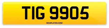 TIG 9905