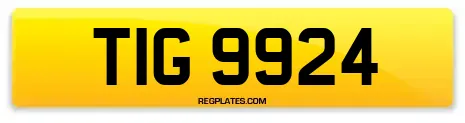 TIG 9924
