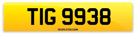 TIG 9938