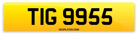 TIG 9955