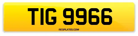 TIG 9966