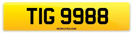 TIG 9988