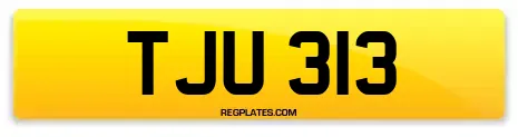 TJU 313