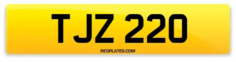 TJZ 220