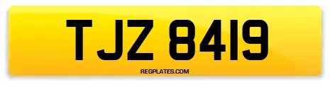 TJZ 8419