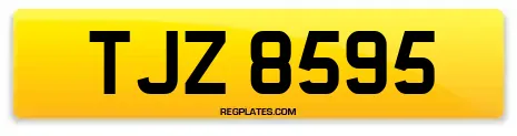 TJZ 8595