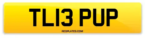 TL13 PUP