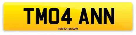 TM04 ANN