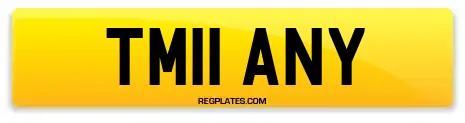 TM11 ANY