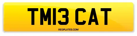 TM13 CAT