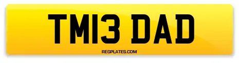 TM13 DAD