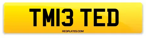TM13 TED