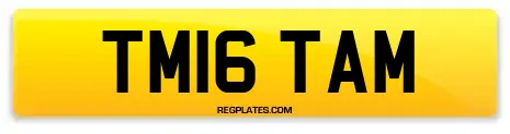 TM16 TAM