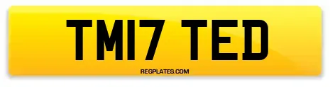 TM17 TED