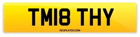 TM18 THY