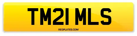 TM21 MLS