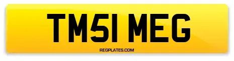 TM51 MEG