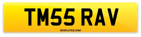TM55 RAV