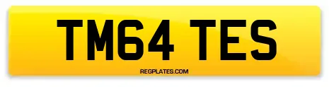 TM64 TES