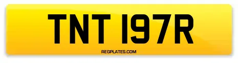 TNT 197R
