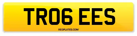 TR06 EES