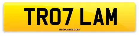 TR07 LAM
