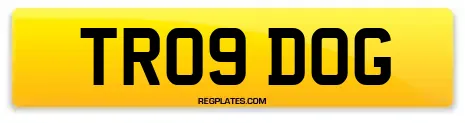 TR09 DOG
