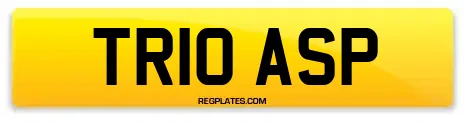 TR10 ASP