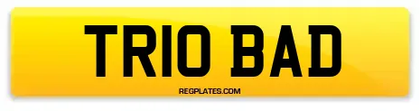 TR10 BAD