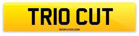TR10 CUT