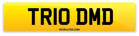 TR10 DMD