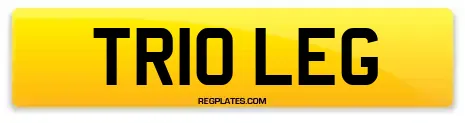 TR10 LEG