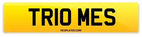 TR10 MES