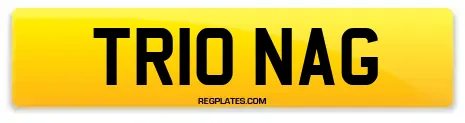 TR10 NAG