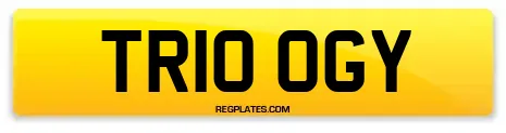 TR10 OGY