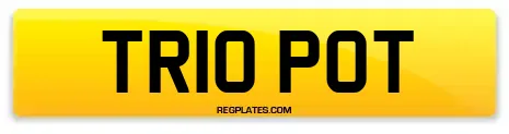 TR10 POT