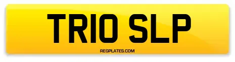 TR10 SLP