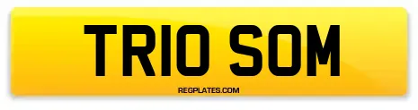 TR10 SOM